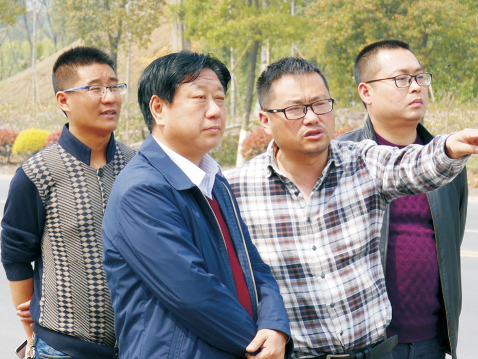 文聯主席虞潛指導納溪區城市道路景觀品質提升工程