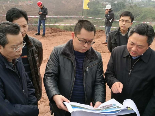 丁湘副市長調研長江生態濕地公園建設