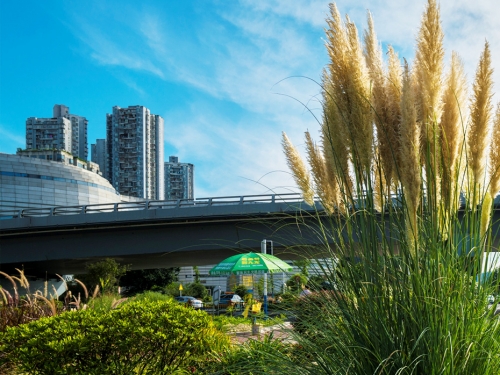 沱江二橋加寬改造工程附屬景觀建設項目